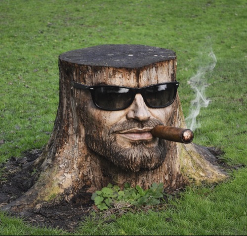 Tim