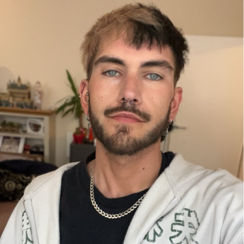 dylan