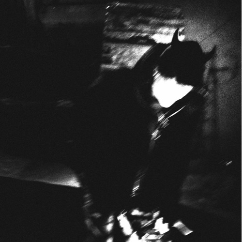 Egor Borodushkin
