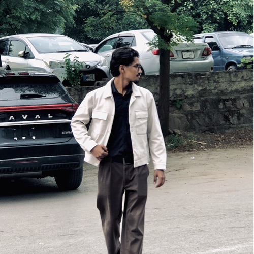 Muhammad Hanzala 