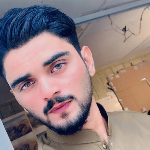 Wajhi Sheikh