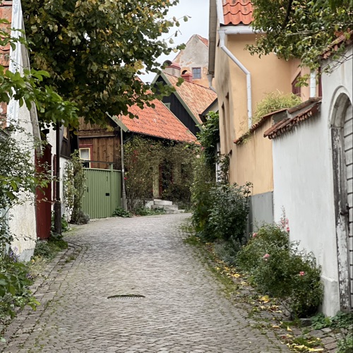 Tzatse