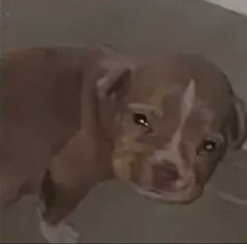 Isaac