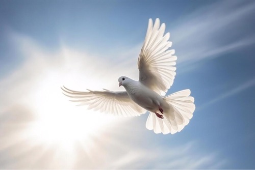Greater Light