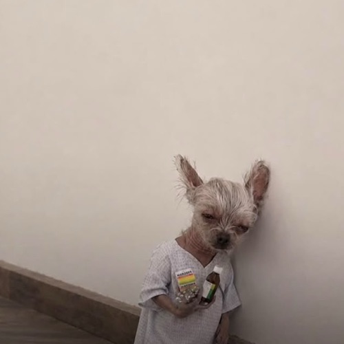 Dukky