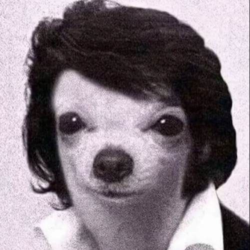 Valentín valas