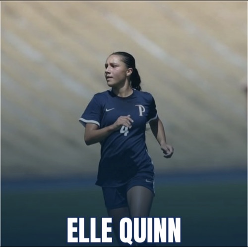 Elle Quinn
