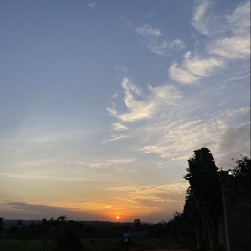 Mysy