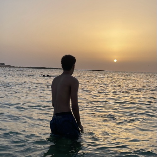 Taha Zireg