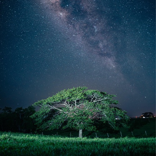 Caleb Lee