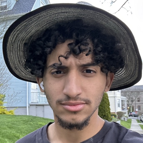 Anas Alomari