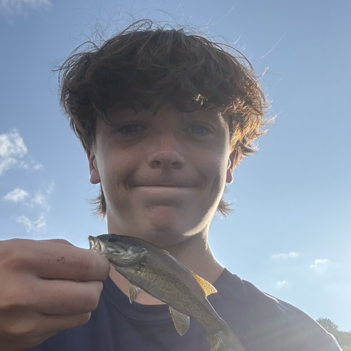 Finn Prenty
