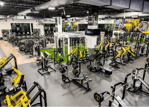 the fitness guide
