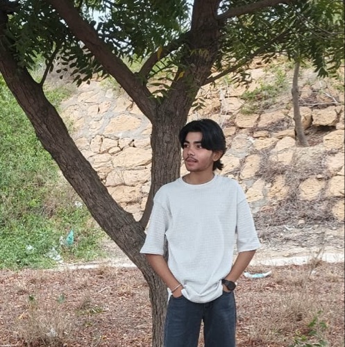 Arham Ali