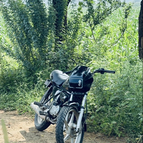 Raj Gujjar