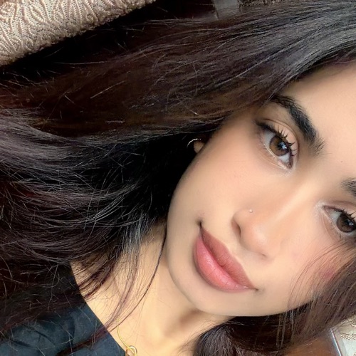 Talha Haque Vumi
