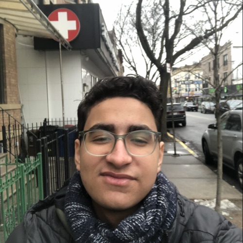 Mohamed Ahmed Elsayed