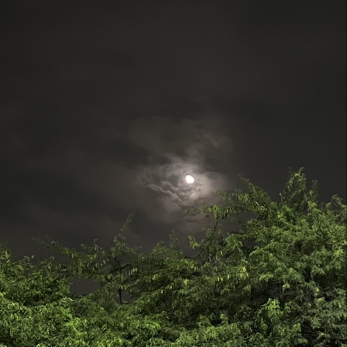 Vikas Kumar