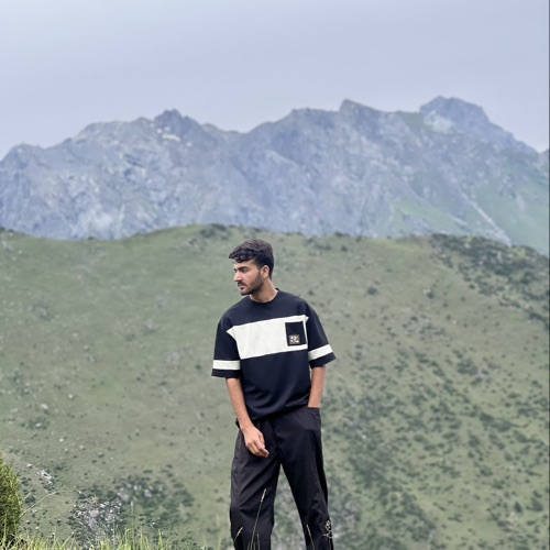 Waqas Aly