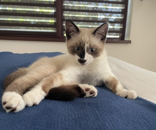 Robert