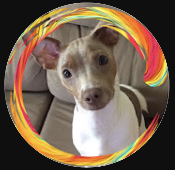 Themisdog