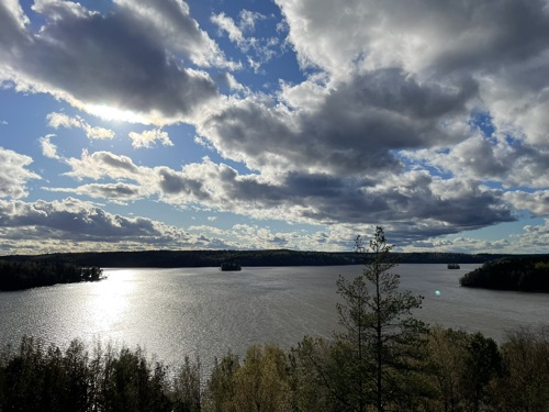 Mikroaaltouuni