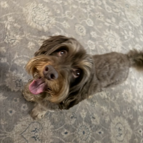 Wes Crossman