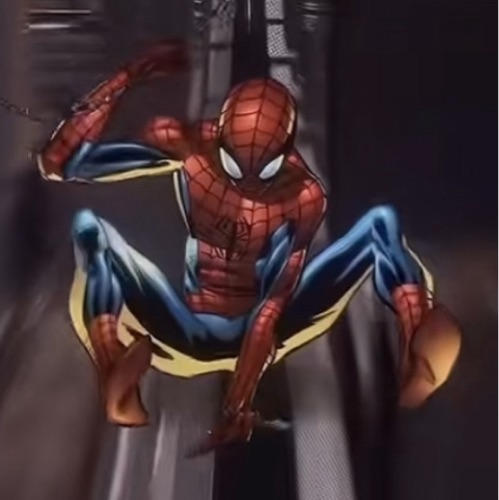 Lp 
