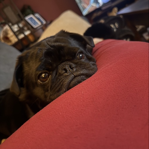 Deb