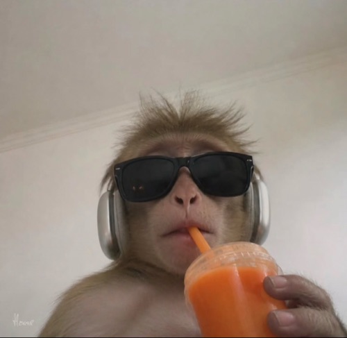 TheGoat76