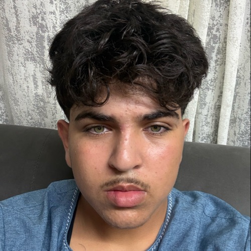 Mohammad Alswidan