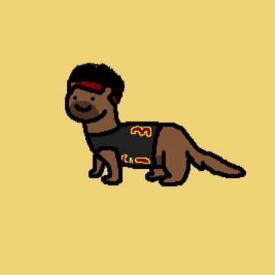 Ferret Allen
