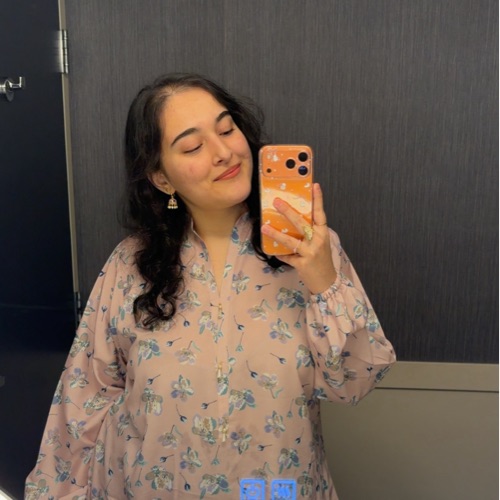 Taheera Najeeb