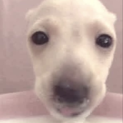 flex