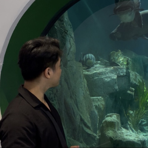 Đức Thịnh Nguyễn