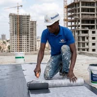 Paulo João Mesmo Dias