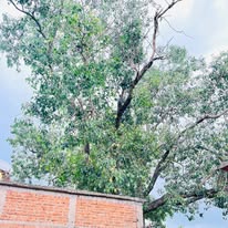 Rupesh Kamarji