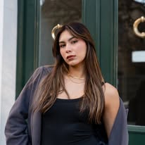 Lis 