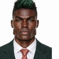 Sir green niche 