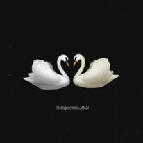 Sandeep Dhiman