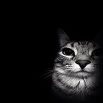 Imran heizo