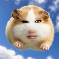 GGOOIIKIM