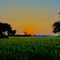 Deepak Thakur