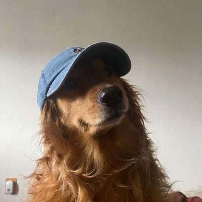 Xavier