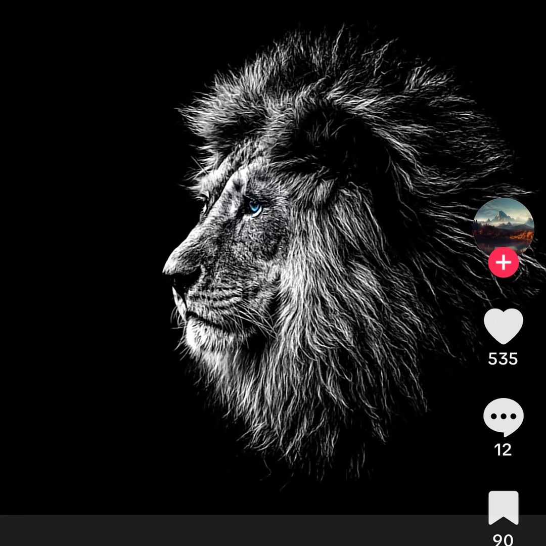 Calleb Sandifer
