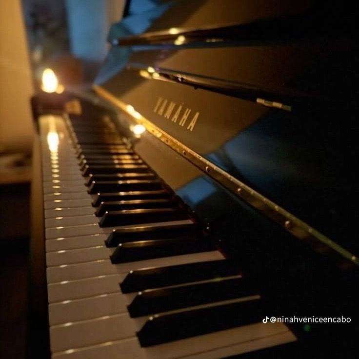 ᑕᗩᖇIᒪᒪOᑎ🎹🖤