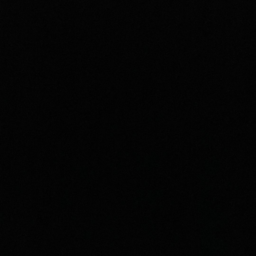 Dinu