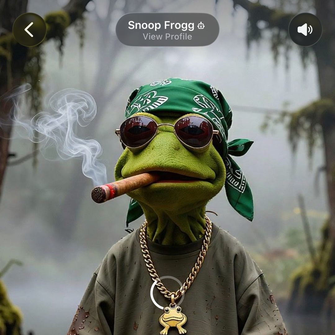 Snoop Froggy Frog