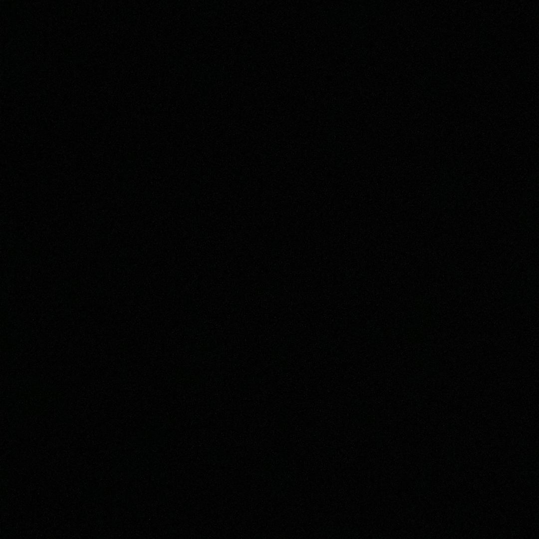 Lok Bear