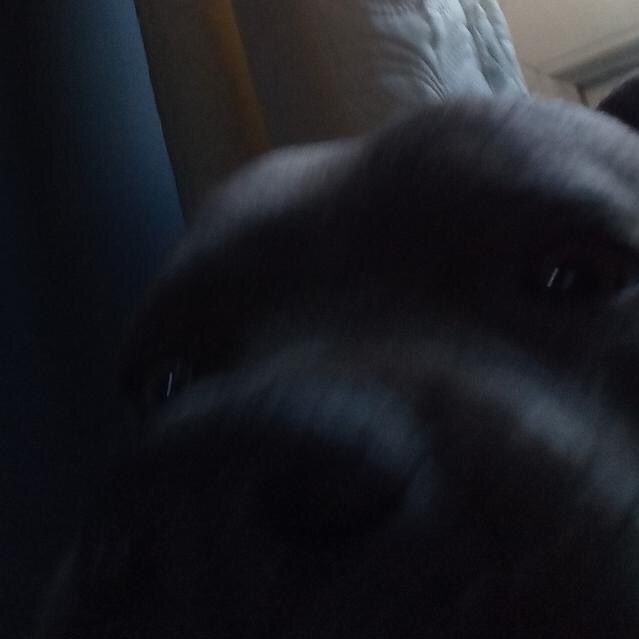 Robbie